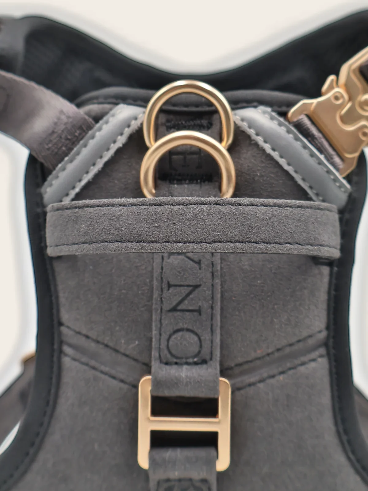 The twin D-rings and H-buckle in matte champagne gold, on the Deep Graphite Tech Harness