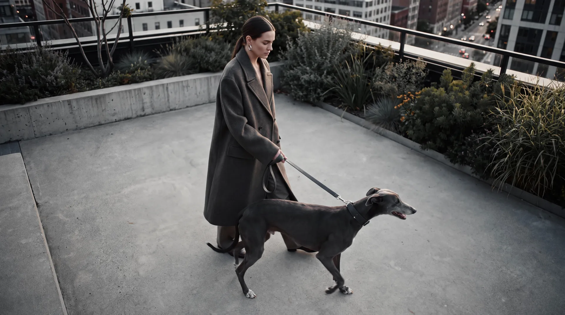 Woman walking a greyhound on a planted city rooftop