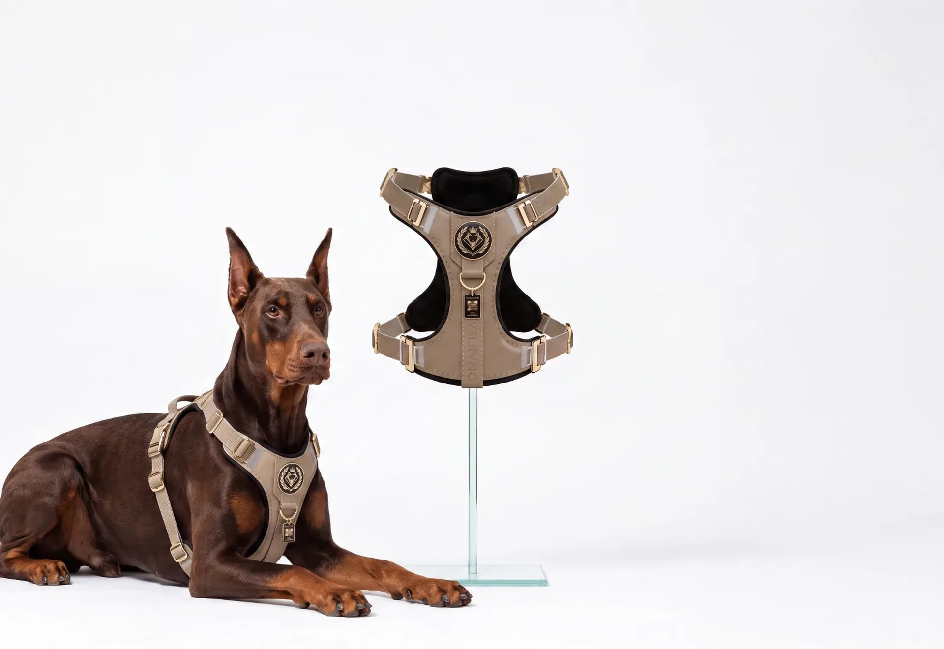 VELKYNO harness
