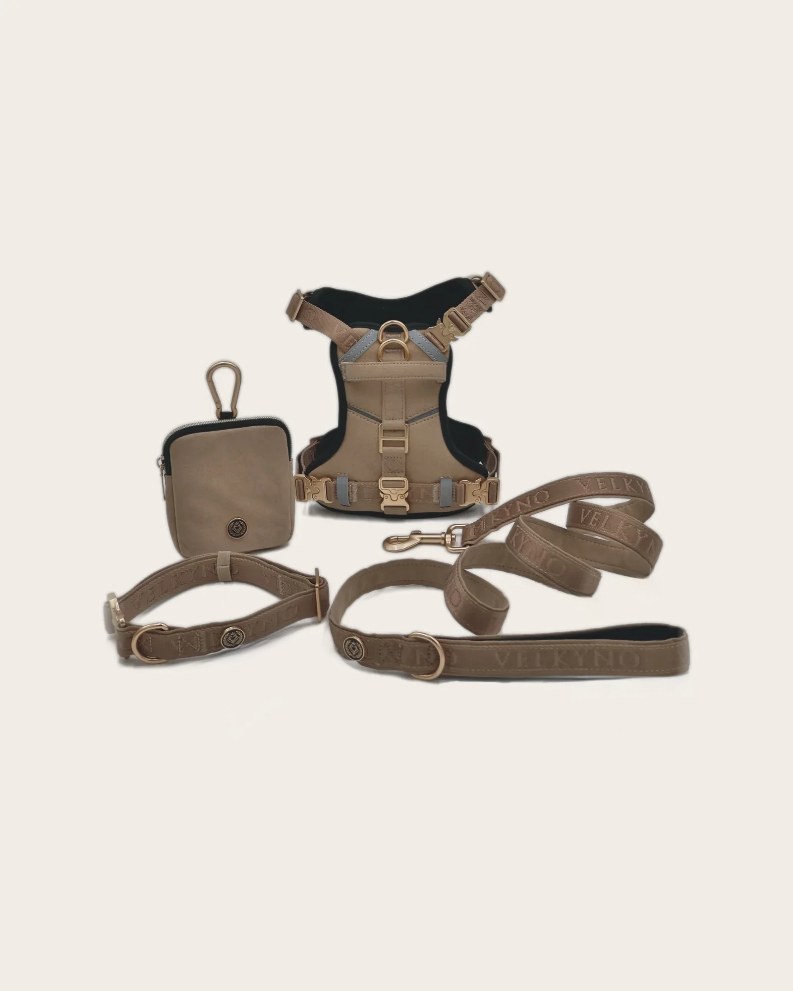Signature Collar — In composition