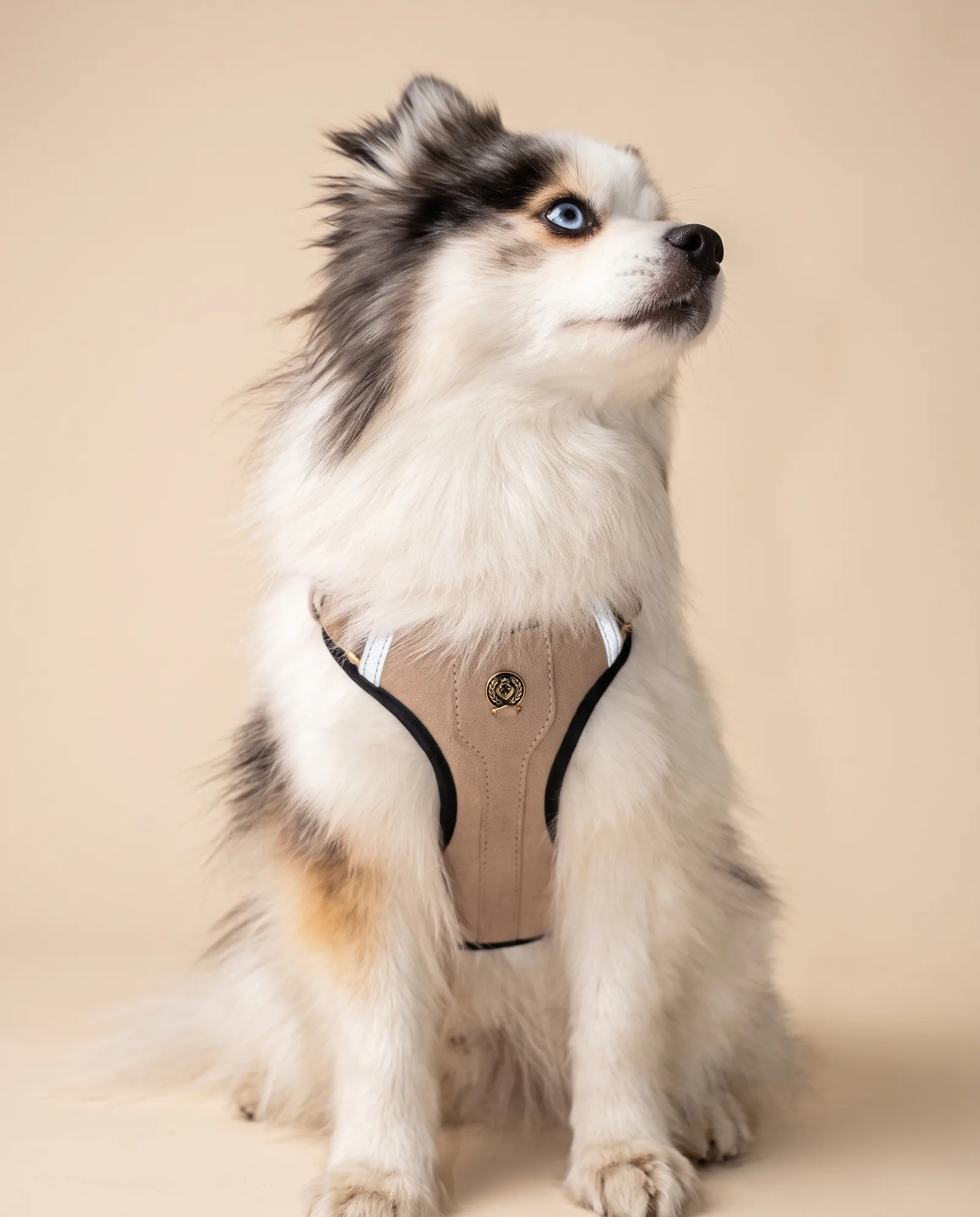 Tech Harness — Tech Harness L'Aplomb Taupe worn, front view